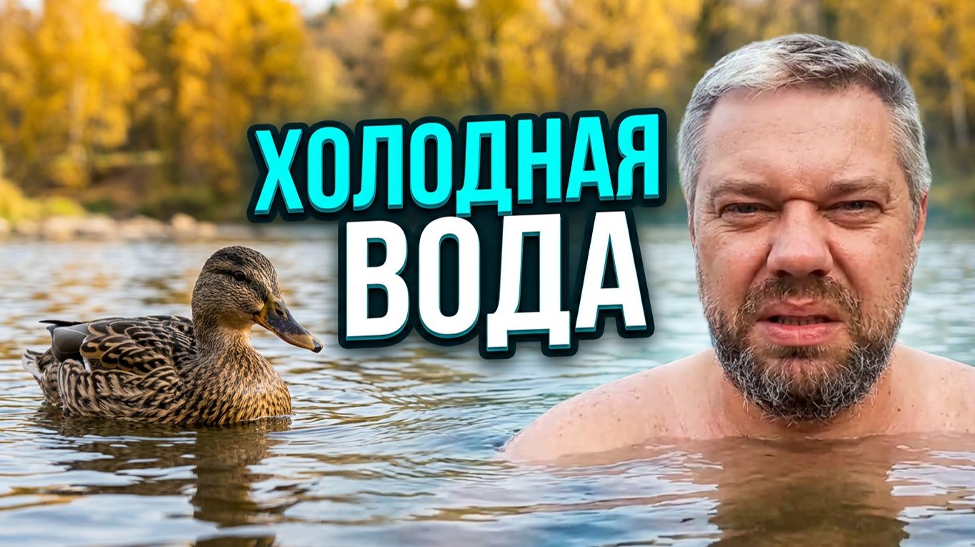 Моржуем ТВ