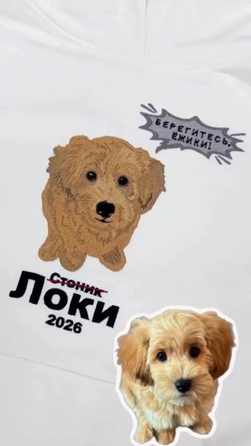 Пришли фото своего ❤️ любимчика в комментариях и я покажу как будет выглядеть вышивка именно с тв...