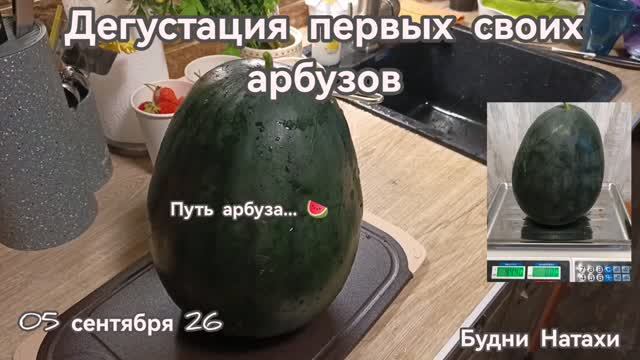 Удача на даче! Дачники выходного дня