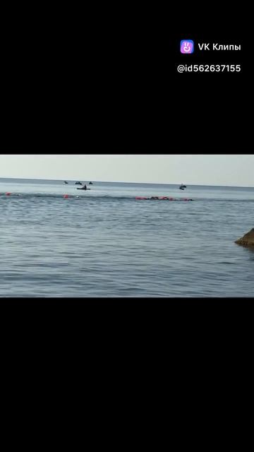 05.09.26. Ялта. Swim race 2026, 10 км - серебро.