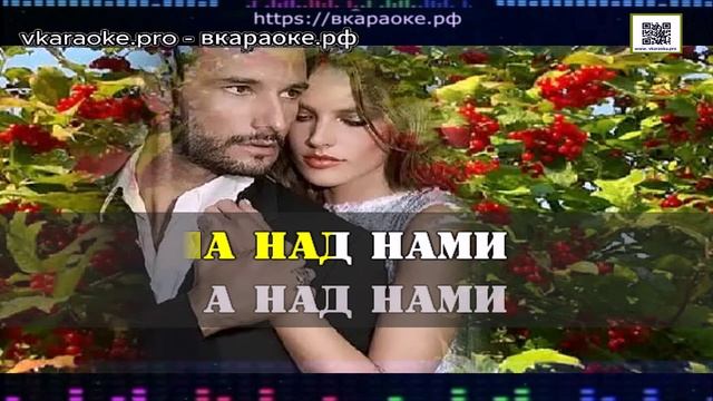 ИИ - Борис Гиндин - Калина красная (Слуцкий - Cover) - Караоке-Demo - Минус-Караоке Создание песни Л