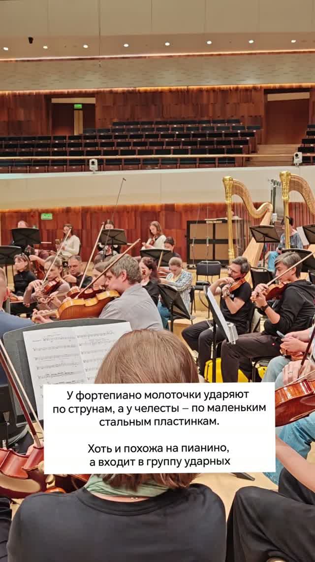 Инструмент челеста. Кто играет небесные звуки из Щелкунчика.