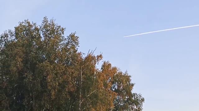 Самолет,как стрела!