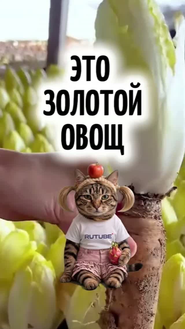 Это съедобно или ну его нафиг?