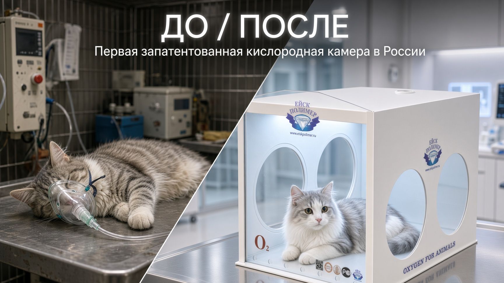 Первая запатентованная кислородная камера для животных в России