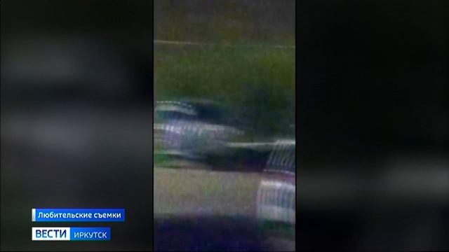 Медведя заметили в поселке Листвянка