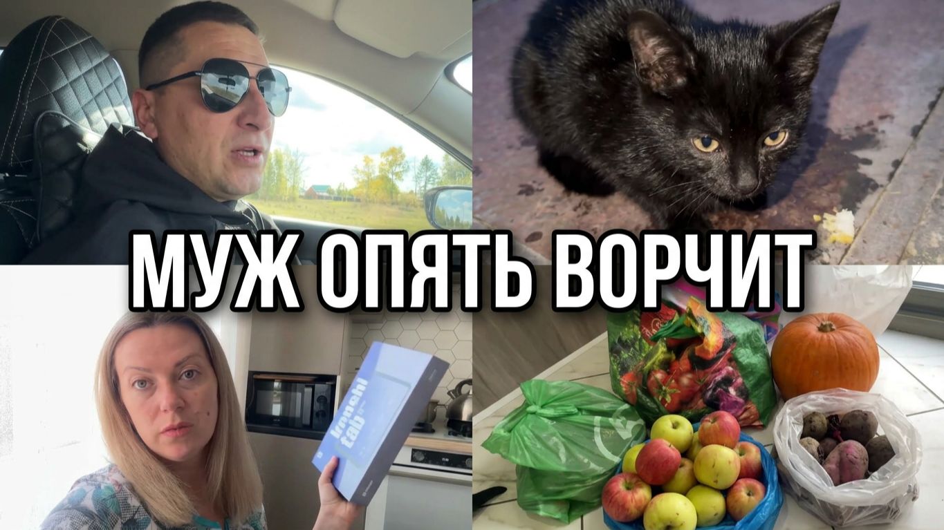 VLOG:Прислали ГОСТИНЦЫ//Нашли КОТЕНКА//Обзор ПОКУПОК//Купила себе ПЛАНШЕТ//Муж ВОРЧИТ как ДЕД