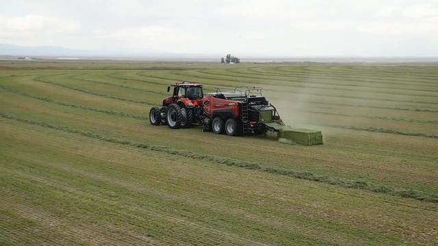 CASE IH