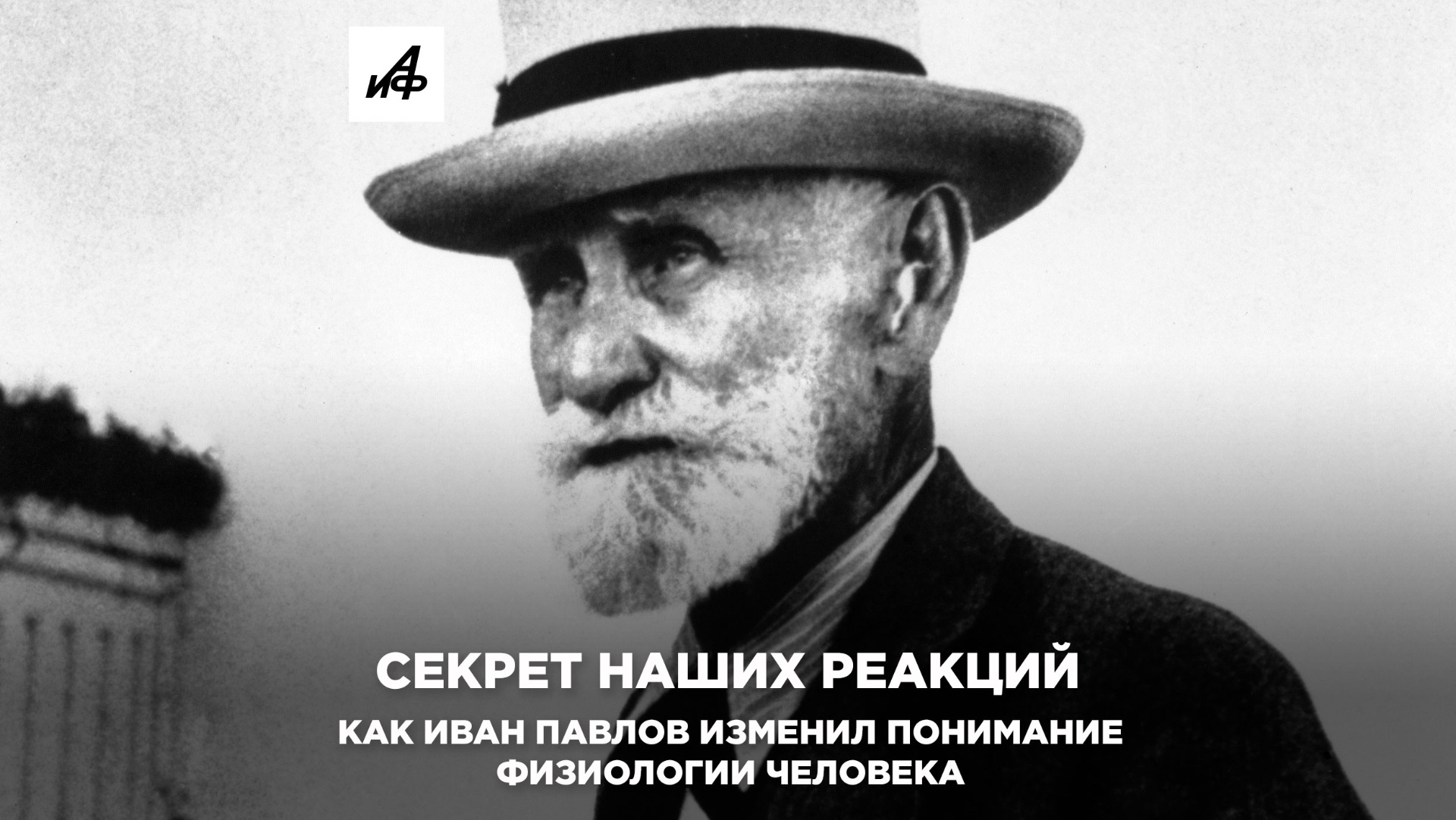 Секрет наших реакций. Как Иван Павлов изменил понимание физиологии человека