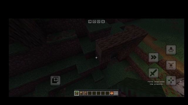 показал деревню 🏠 ( и на деюсь что она вам понравилась) Стас_48 | Minecraft
