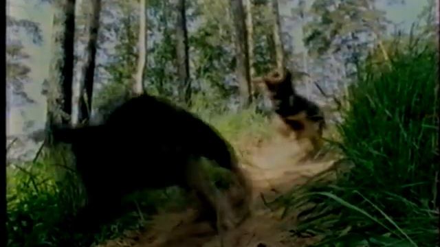 Рекламный блок ОРТ, 01.05.1999