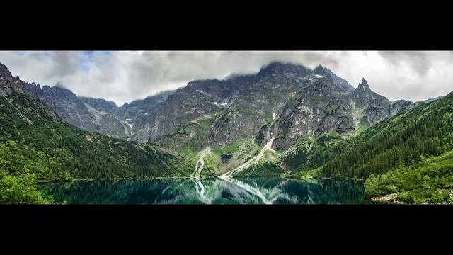 Оливер Шанти и друзья- Будда и бонсай, том 5