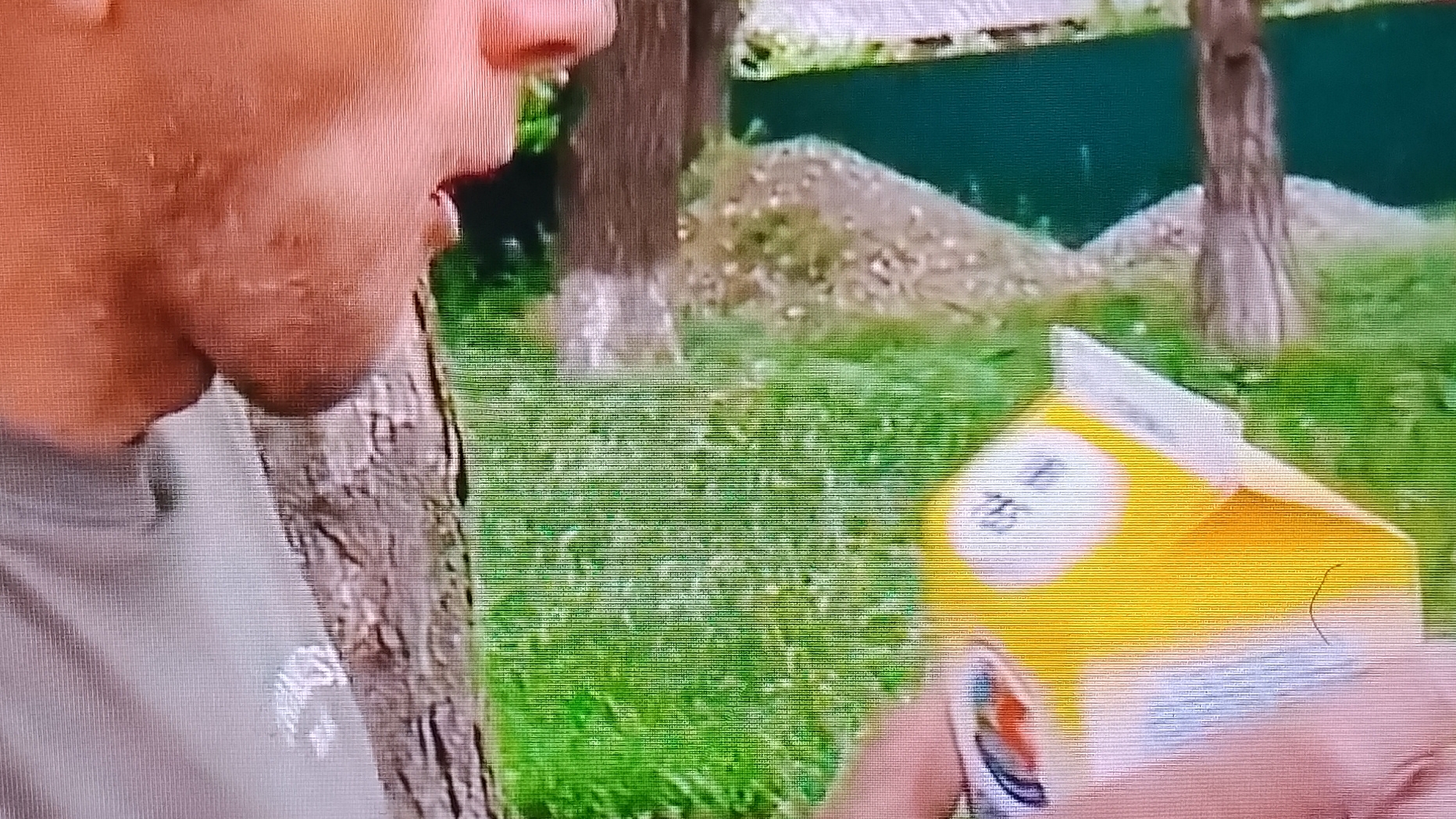 Я В ШОКЕ!