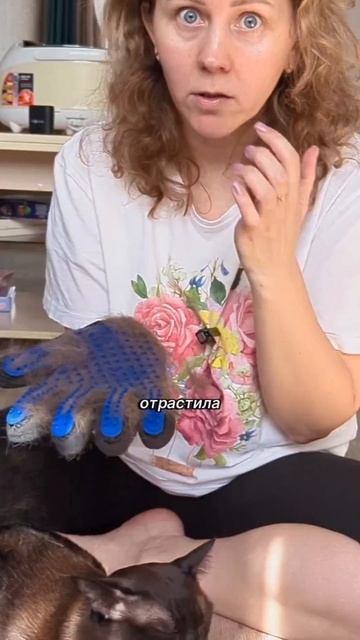 Лайф