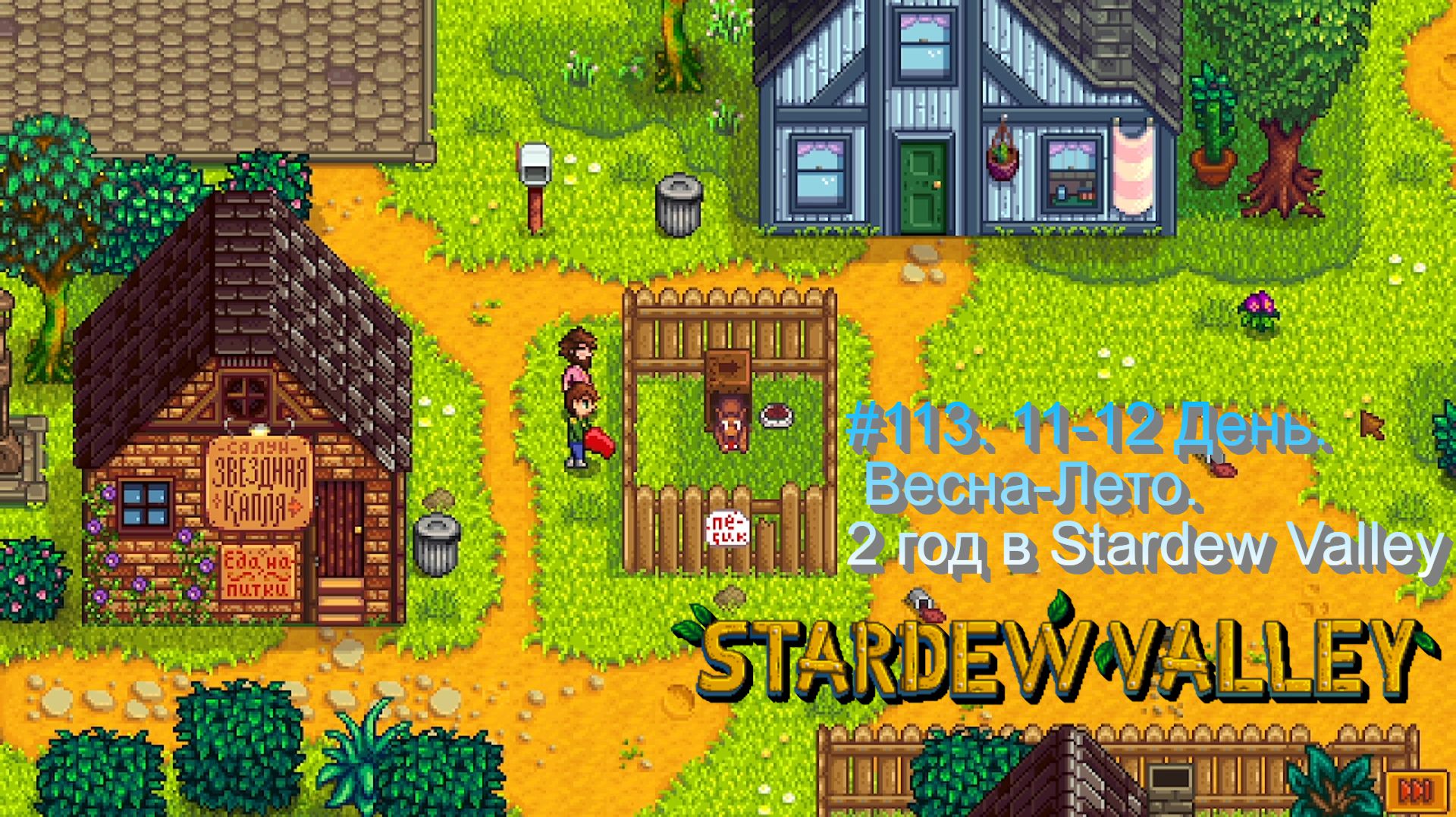Stardew Valley