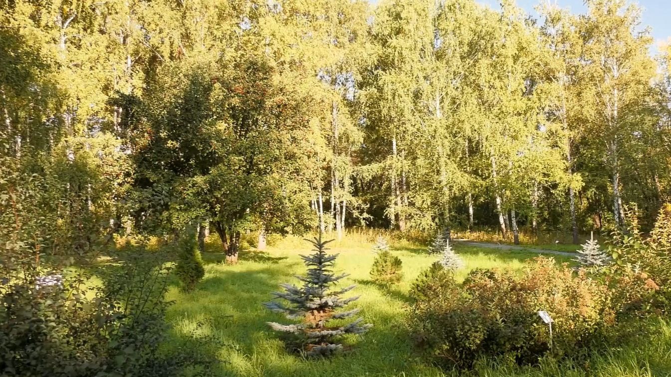 Открытие Ботанического сада в Самаре. Как преобразилась территория