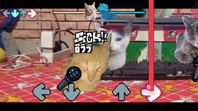 ЭТО ЛУЧШИЙ МОД ПРО КОТОВ!!! МНЕ ПОНРАВИЛОСЬ! Vs Gatos (Первая неделя) фнф (Cats/Коты)