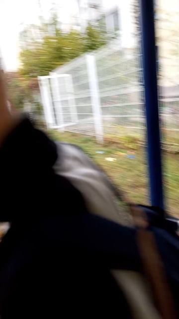 ОБЗОР НА ЗМЕЕЕЕЕЙ!ЧТО ТАМ БЫЛО!?