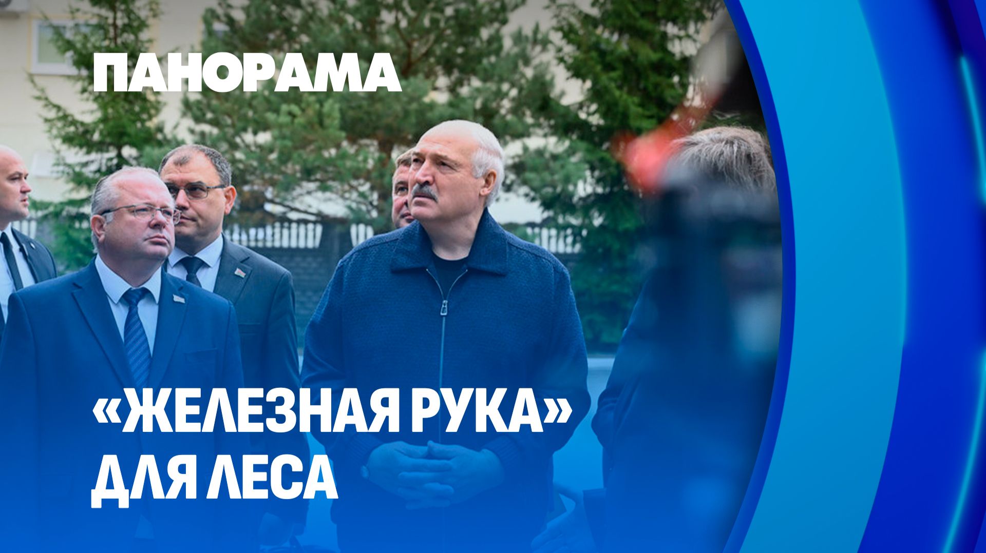 Лукашенко: в Беларуси нужно усиливать заготовку леса. Панорама