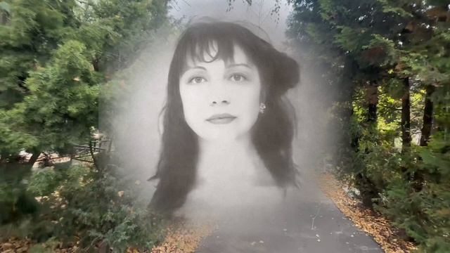 "ОНИ ПРИХОДЯТ ВО СНЕ" : МОГИЛА ДЕТЕЙ МУЗЫКАНТА ВЛАДИМИРА КУЗЬМИНА НА ХОВАНСКОМ КЛАДБИЩЕ