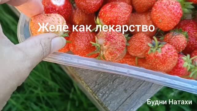 Готовим - Быстро и вкусно!