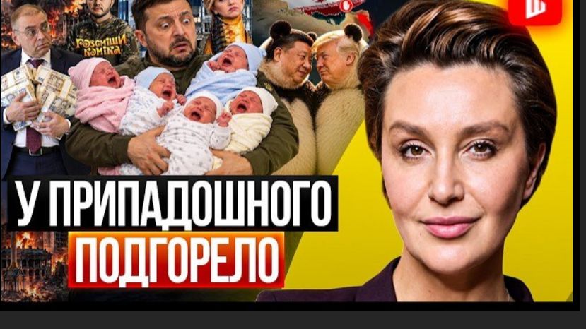 КУКУШОНОК ВЫКИНУЛ ВСЕХ ИЗ ГНЕЗДА! Зе думал, что ИГРАЕТ ПРЕЗИДЕНТА. РОДЫ В БОМБОУБЕЖИЩЕ | Егорова