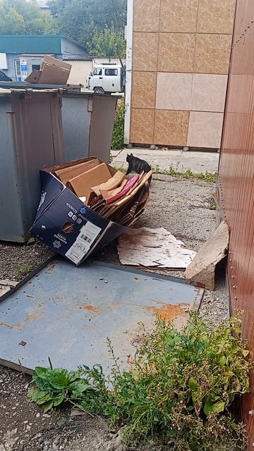 Молоко ты скатился
