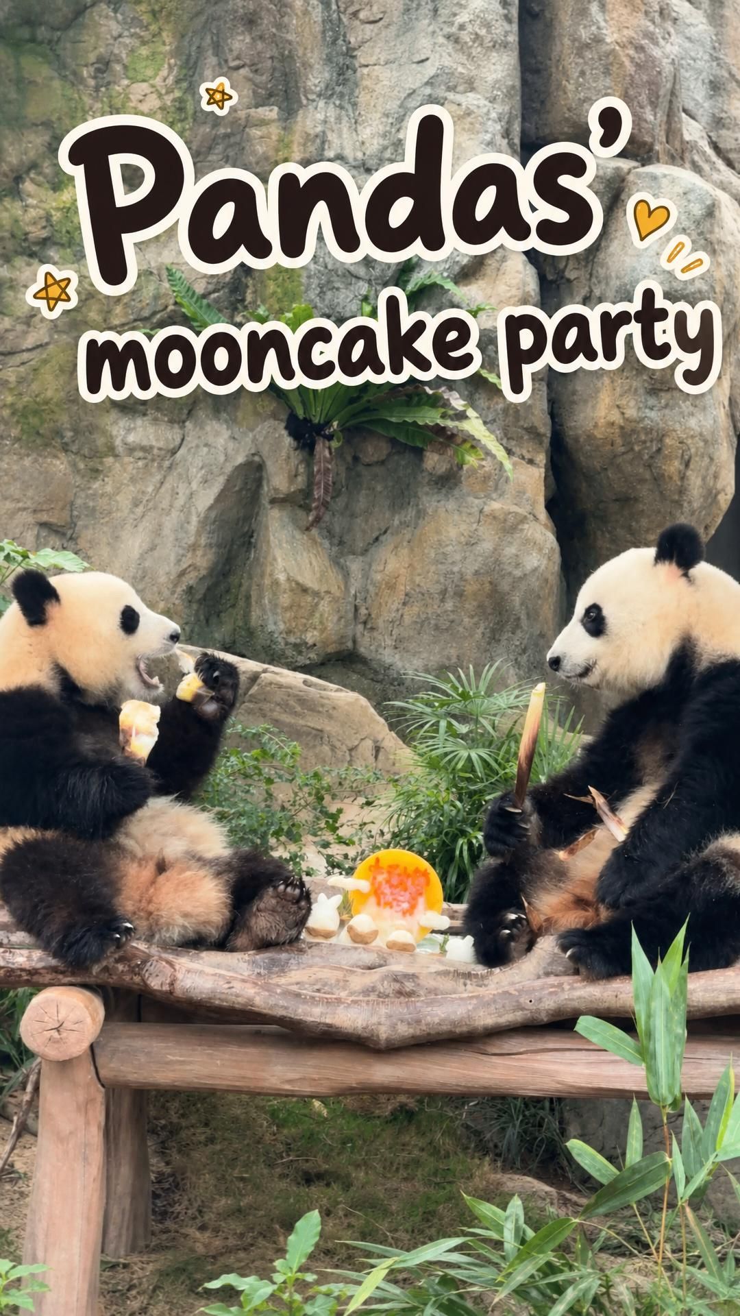 🐼🥮Арбуз, лёд и лунные пряники: панды Гонконга отмечают Праздник середины осени