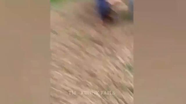 ЗДЕСЬ про ВСЕ