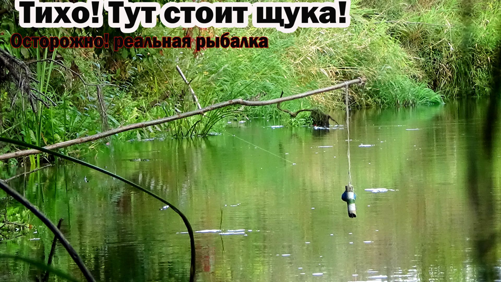 Попробовать поймать 100 щук в сентябре