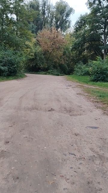 25-09-2026