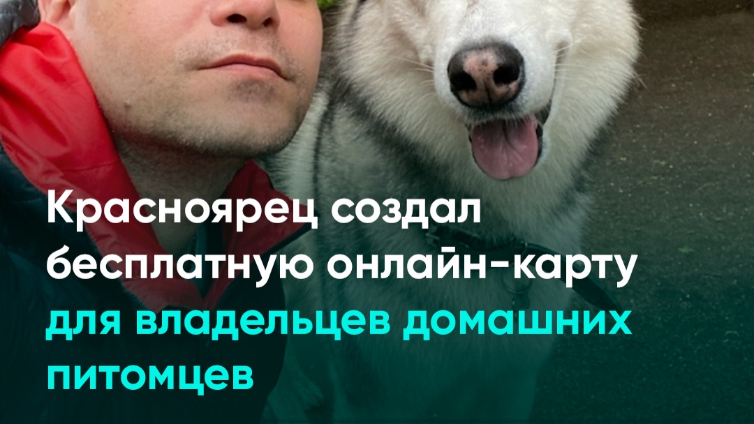 Красноярец создал бесплатную онлайн-карту для владельцев домашних питомцев