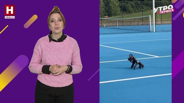 «Вещь»-андроид, пейзажи ГМИК, пушистые истории и др. | В ТРЕНДЕ