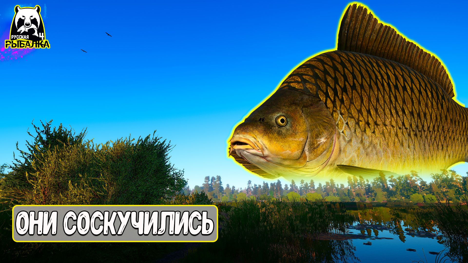 Рыболовные будни