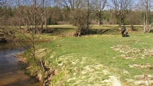 007_Lovla_hariusa_v_provodku