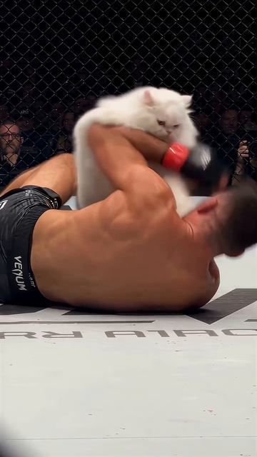 Oh My God😰Wait For End😳 My Cat Waking Me Up For Her 7AM Breakfast 🐱🥊