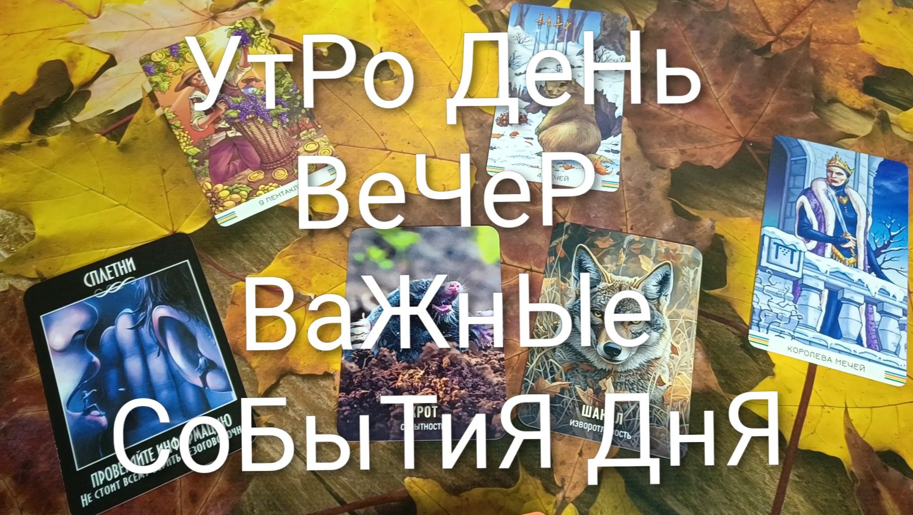 КАРТА ДНЯ 26 СЕНТЯБРЯ ДЛЯ ВСЕХ ЗНАКОВ ЗОДИАКА 💖💖💖#ГаданиеНаБудущее#КартаДняТаро#ТароПрогноз