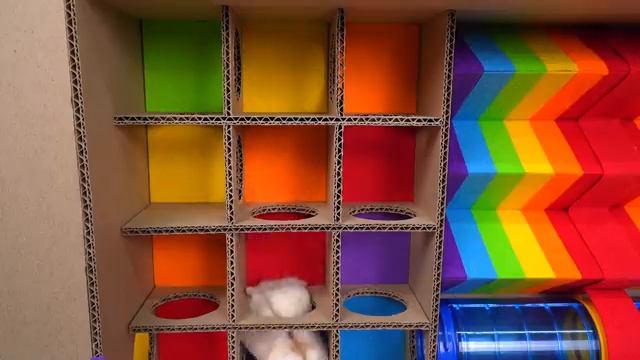 Хомяк против Мега-Бассейна с Шариками! 🐹 Эпичный Побег из Радужного Лабиринта!