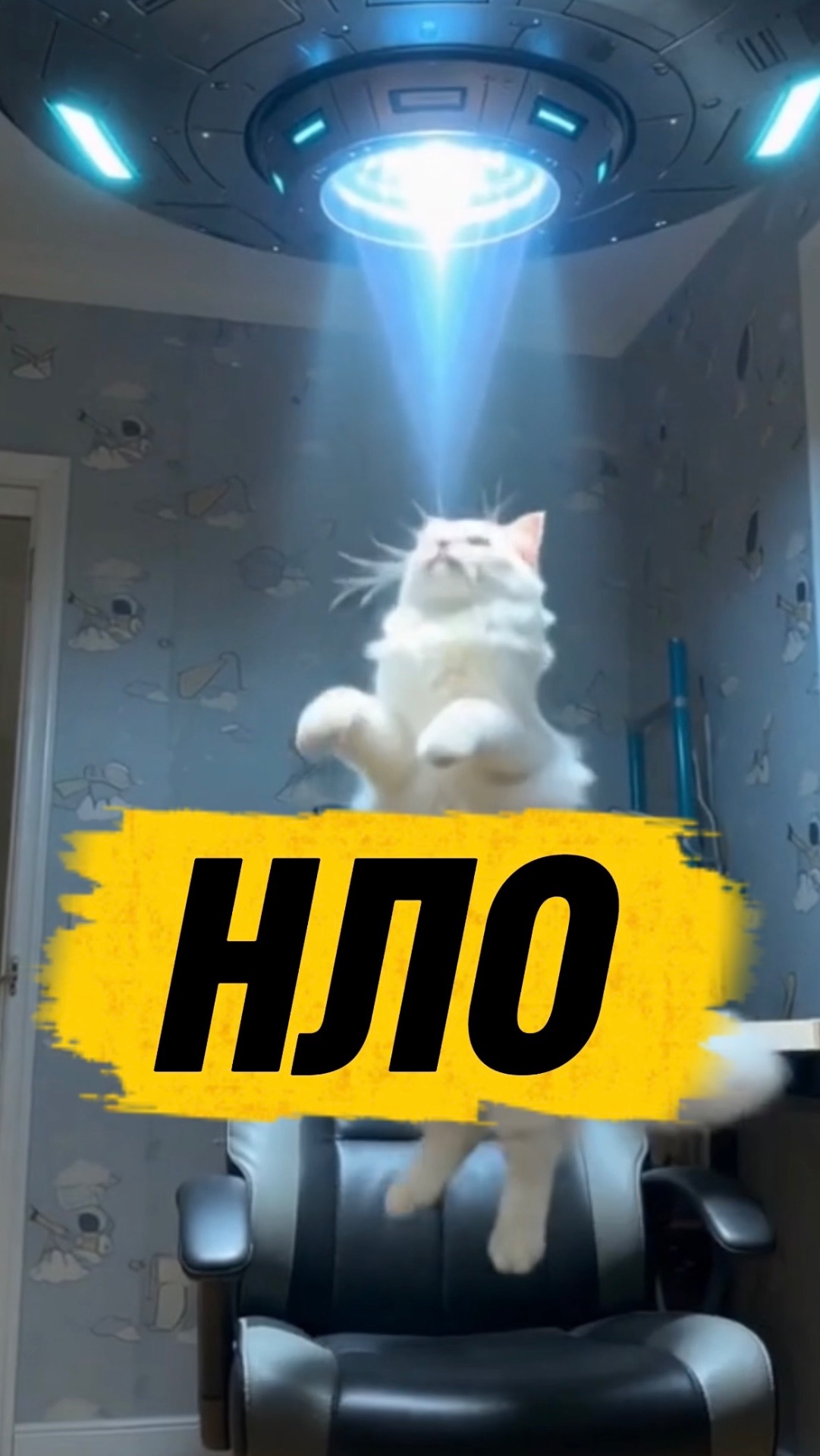 ЛУЧШЕ НЕ СИДИ НА ПОДОКОННИКЕ #кот #кошка #котики #животные #ужасы #страшно #ужастик #нло