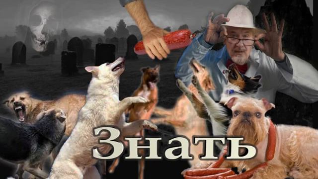 Наша знать.С.В.Савельёв.