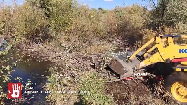 Бобры навели суету в Карталах. Там из-за них чуть не подтопило жилые дома
