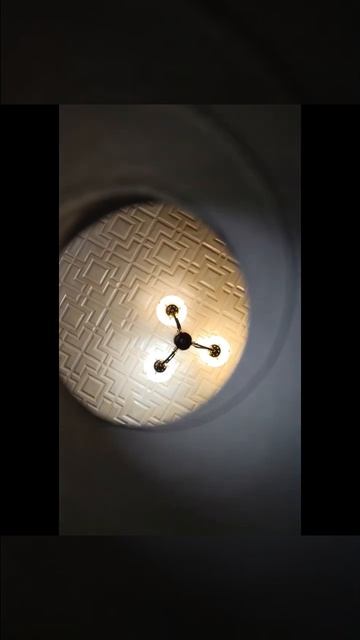 Шортс