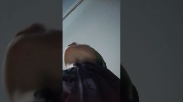 приехал к деду с бабой