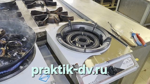 Профессиональная настольная газовая. Модель: 21АВ-31АВ