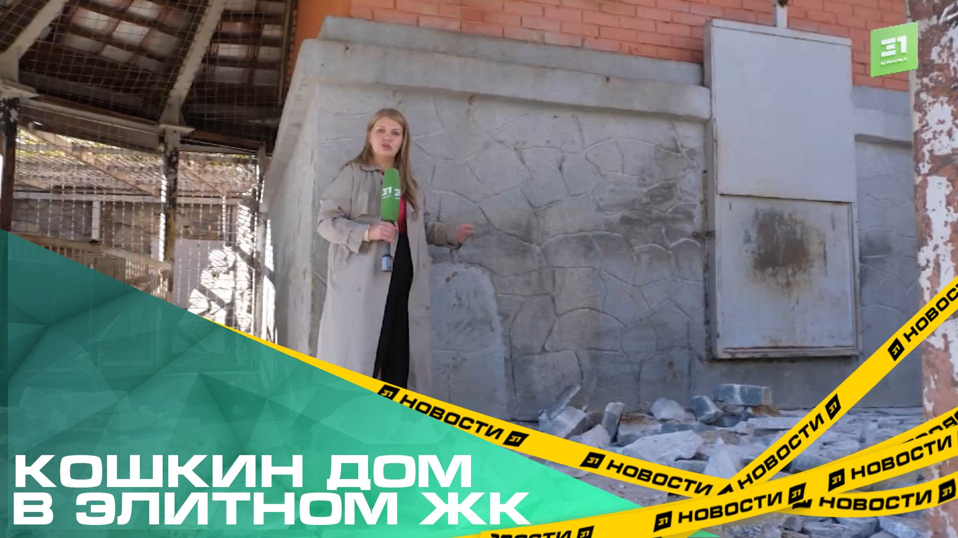 Кошкин дом в элитном ЖК. В челябинском зоопарке расширяют вольеры для львов и леопардов