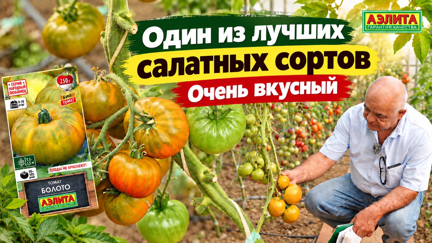 Томаты