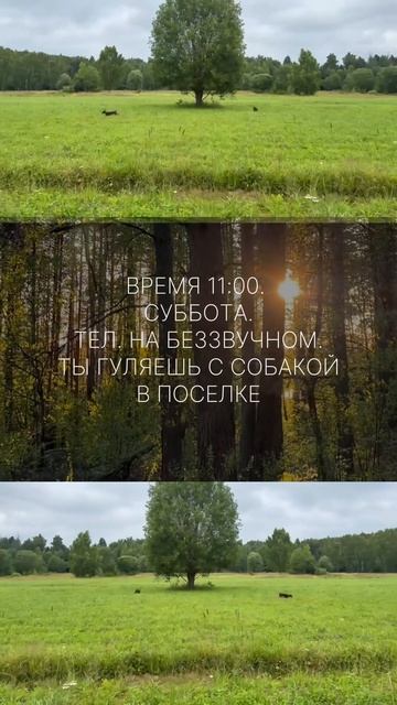 Рига-Лэнд, участки по Новой Риге