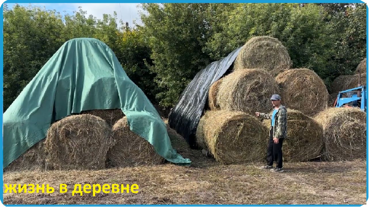 СТОЛЬКО СЕНА МЫ ЕЩЁ НЕ ЗАГОТАВЛИВАЛИ, ГОТОВИМСЯ К ЗИМЕ И  ЖИВЁМ В ДЕРЕВНЕ