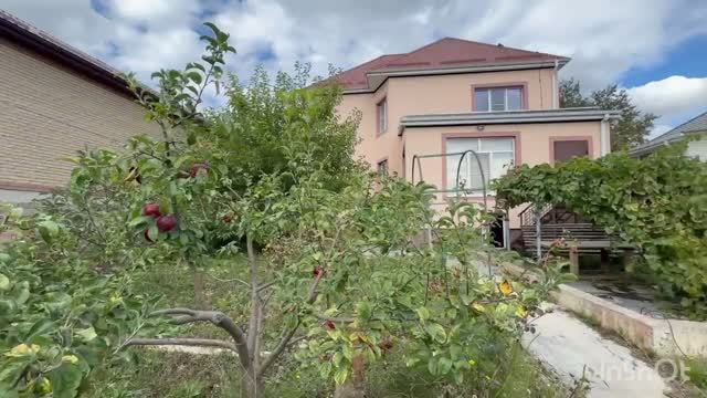 СТ Импульс
