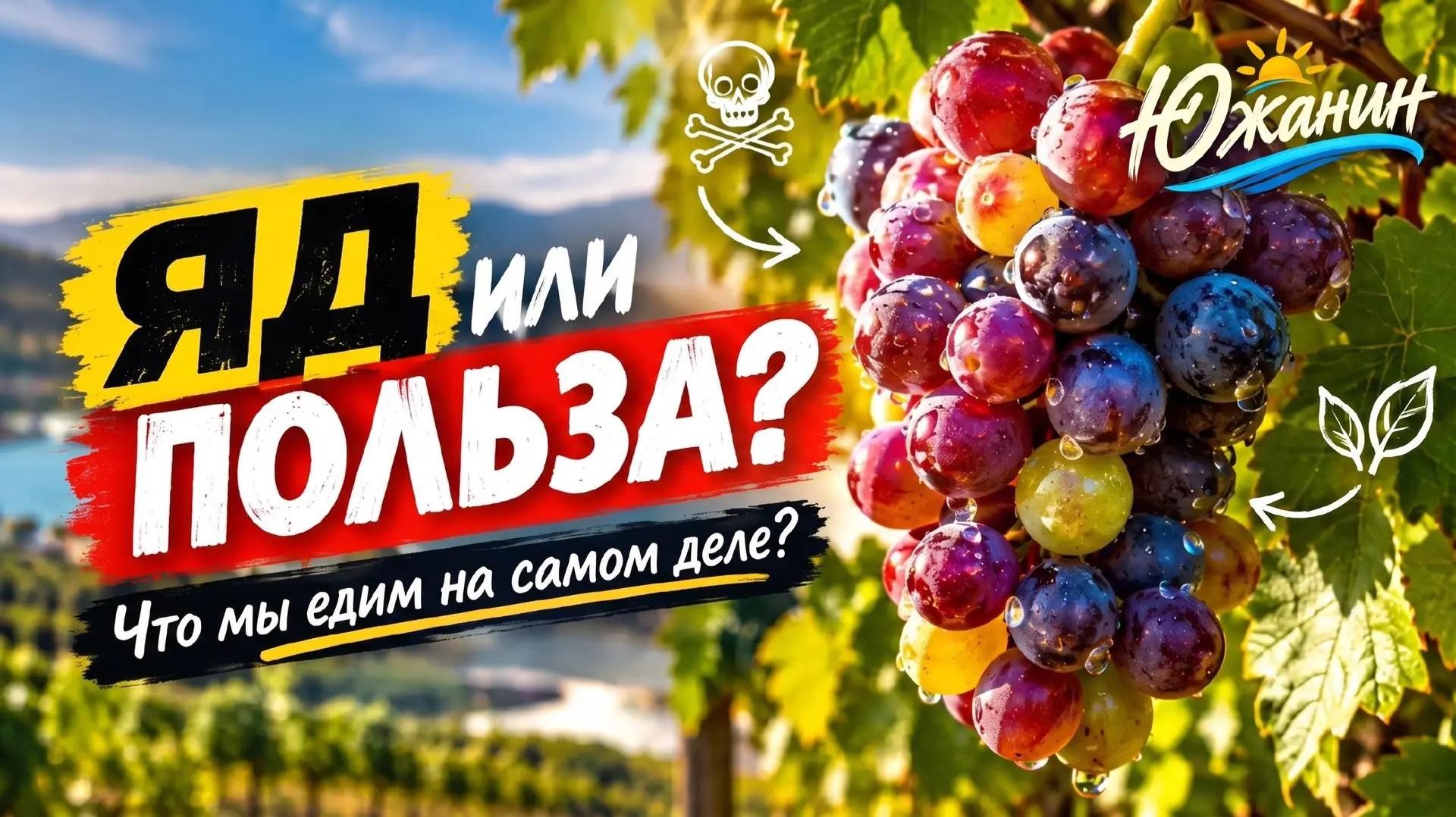 Не покупайте виноград! Пока не посмотрите этот выпуск. #Южанин #Ставрополь #Переезданюг